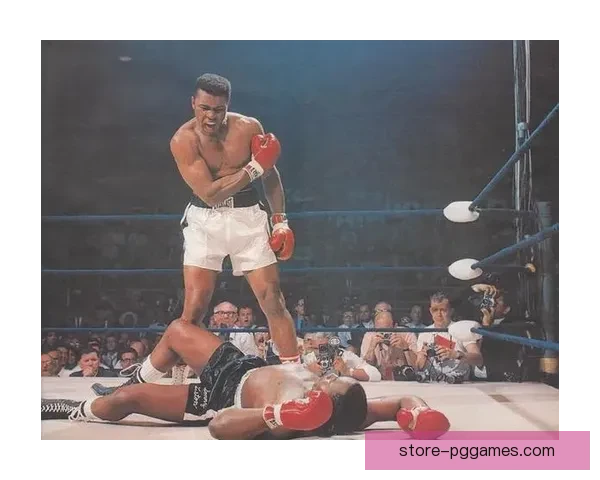 拳击积分排行榜：击拳独领风骚，一统天下谁与争锋