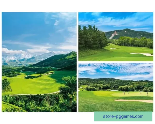 高尔夫杯赛：优胜者的荣耀殿堂